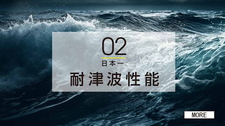 耐津波性能